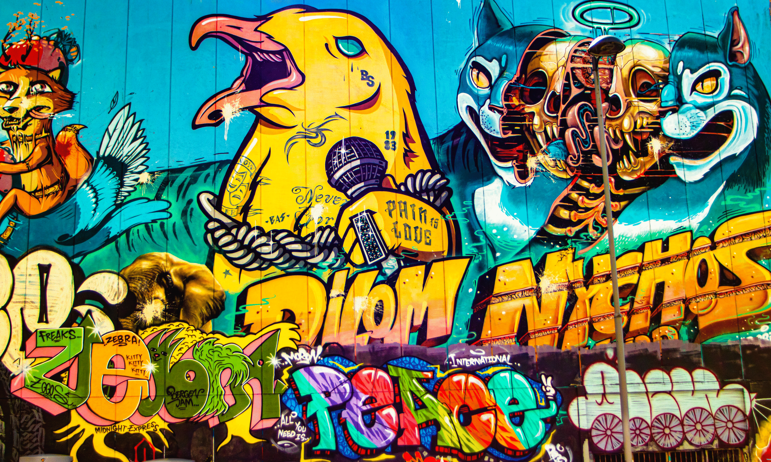 Schakel! Versterk je Leiderschap Schakel! Versterk je Leiderschap